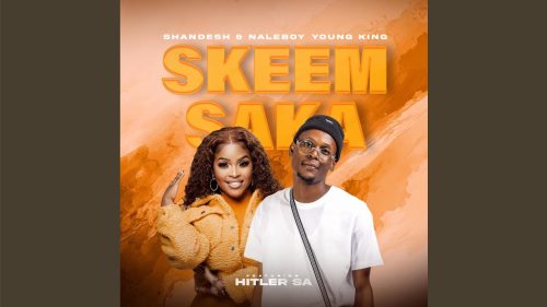 Shandesh & Naleboy Young King - Skeem Saka Ft. Hitler Sa