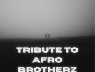 Afro Victimz - Tribute To Afro Brotherz