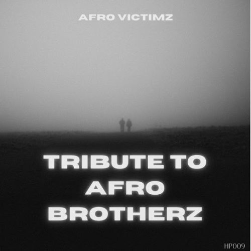 Afro Victimz - Tribute To Afro Brotherz