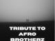 Afro Victimz - Tribute To Afro Brotherz