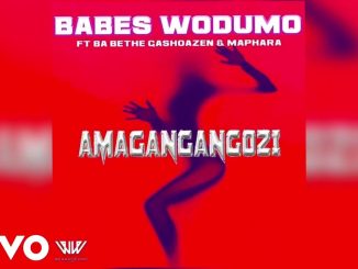 Babes Wodumo - Amagangangozi