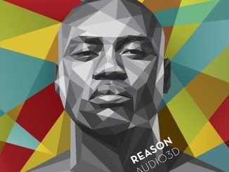 Reason - Save Me Ft. Luodo Liebenberg