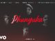 Shennydadeejay, Candy Flow Rsa, Dbn Gogo – Phunyuka Ft. Loony Q