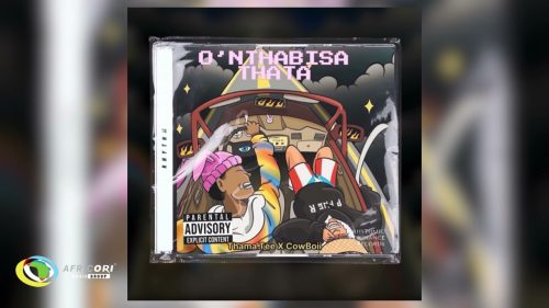 Thama Tee And Cowboii - O'Nthabisa Thata Ft. Cowboii