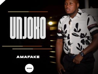 Unjoko - Amafake Ft. Natasha K