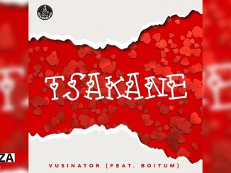 Vusinator – Tsakane