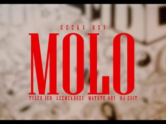 Ceeka Rsa – Molo Wav.Files